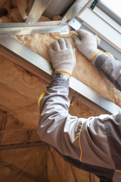 Best Professional Insulation Contractor  in Belterra, TX