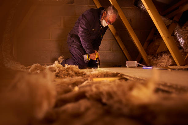 Best Insulation Contractors for Homes  in Belterra, TX